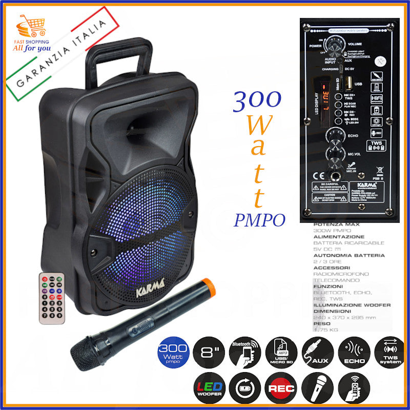 cassa amplificata portatile PSB 8 bluetooth con microfono karaoke