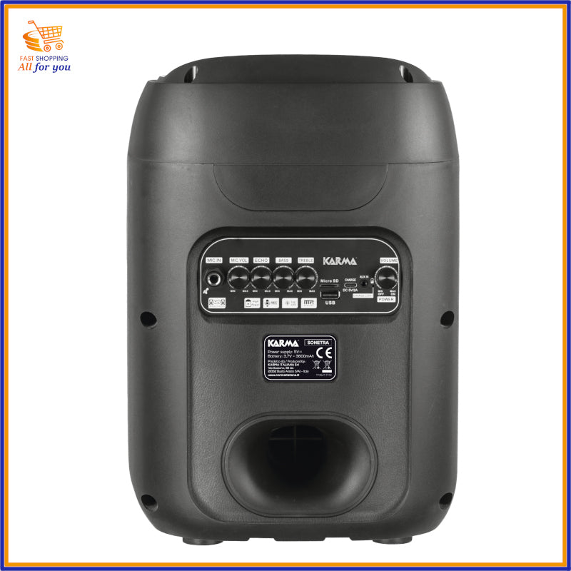 Vista dettagliata del pannello posteriore con ingressi microfonici, USB, MicroSD e potenziometri BASS e TREBLE.