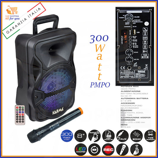 cassa amplificata portatile PSB 8 bluetooth con microfono karaoke